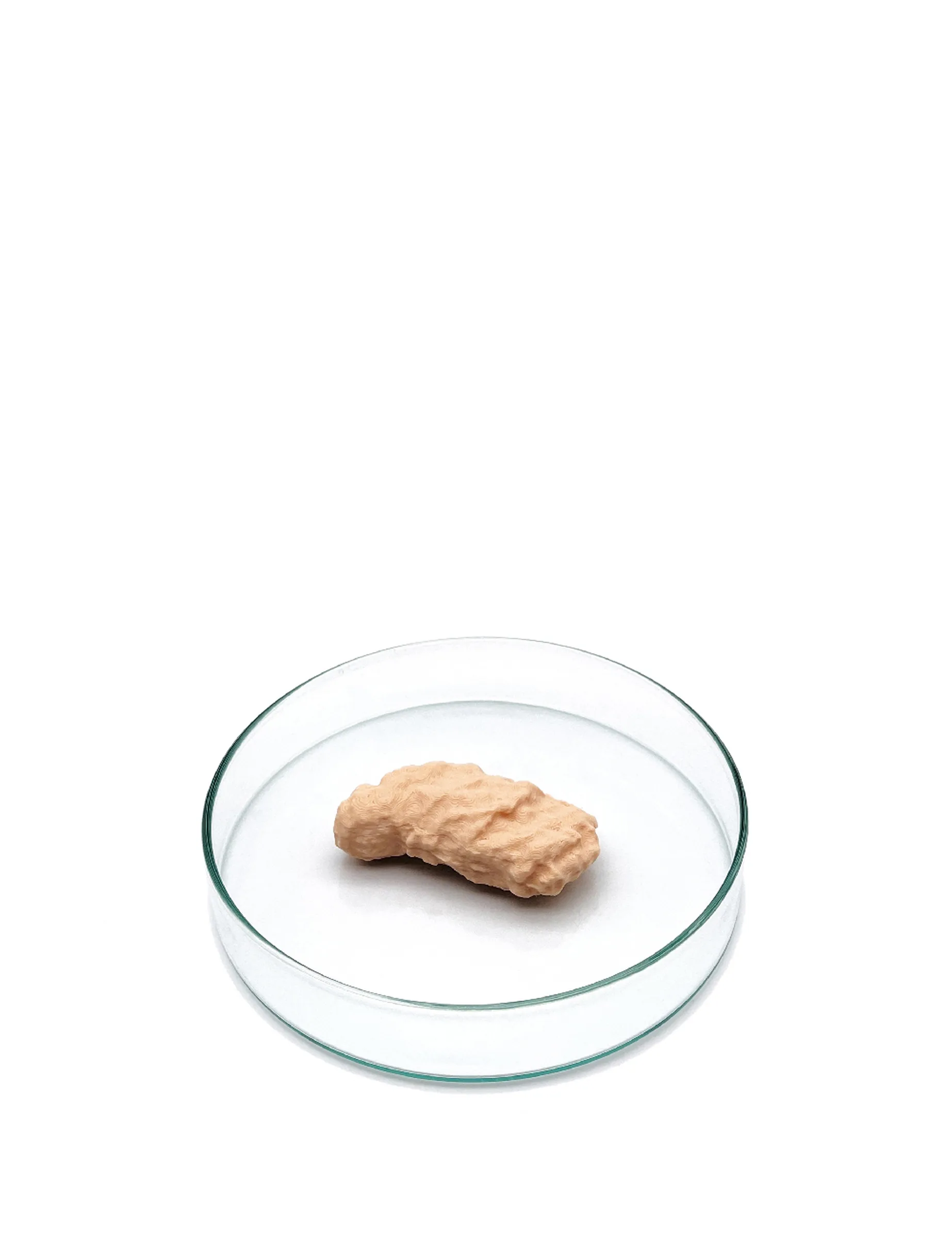 Item for the Great Reset: Home Cultured Meat, conceptual sculpture by Barbara K. Prokop using a 3D printed PLA object and Petri dish