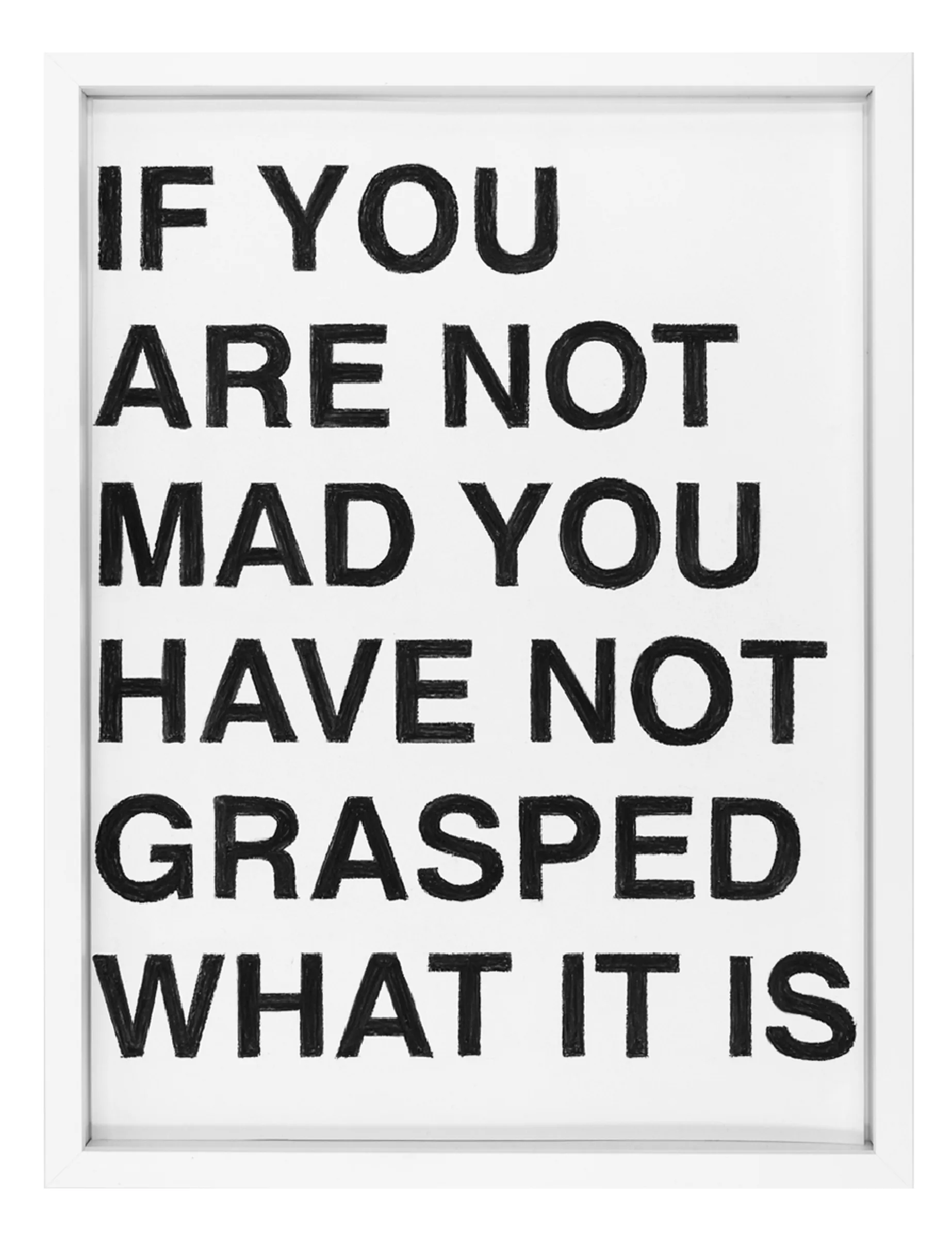 Text drawing titled IF YOU ARE NOT MAD YOU HAVE NOT GRASPED WHAT IT IS by Barbara K. Prokop